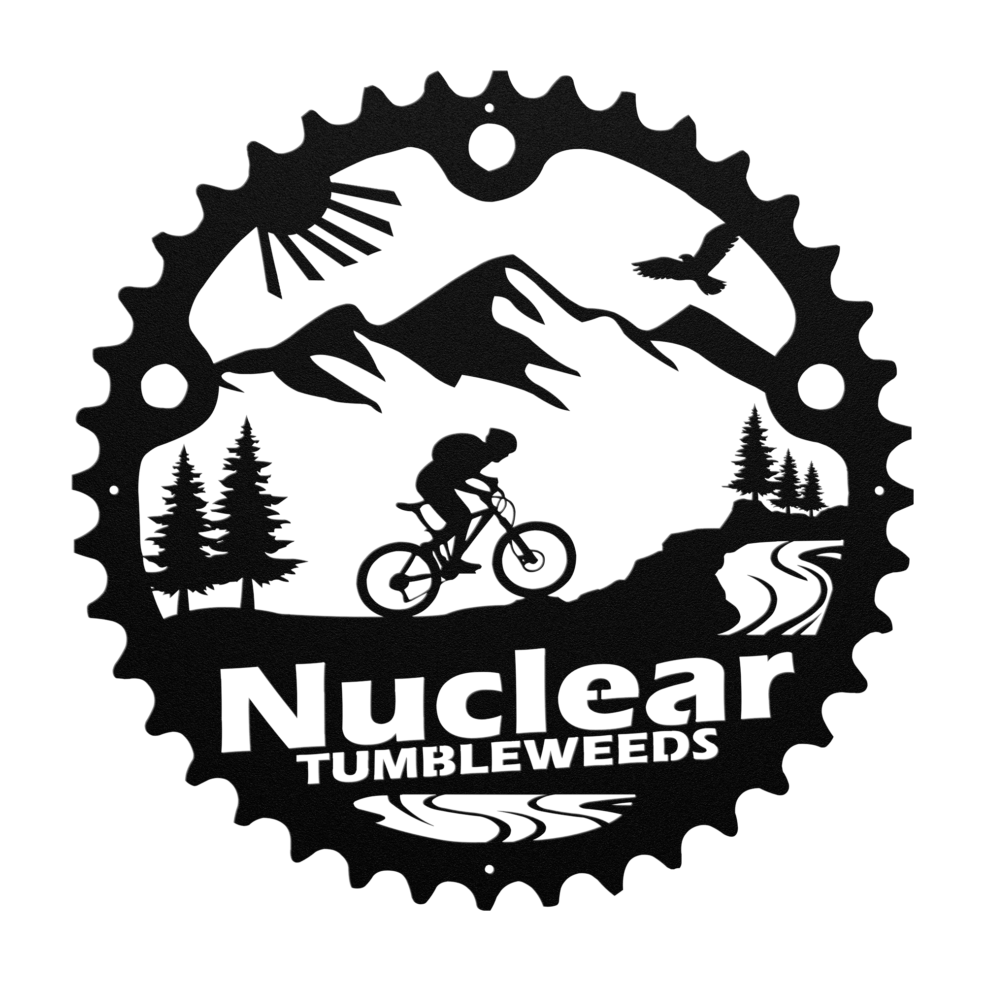 Custom Mountain Biker Chainring Metal Bike Decor, Personalized Mountain Biker Gift, Metal Bike Wall Art, Home Decor Black