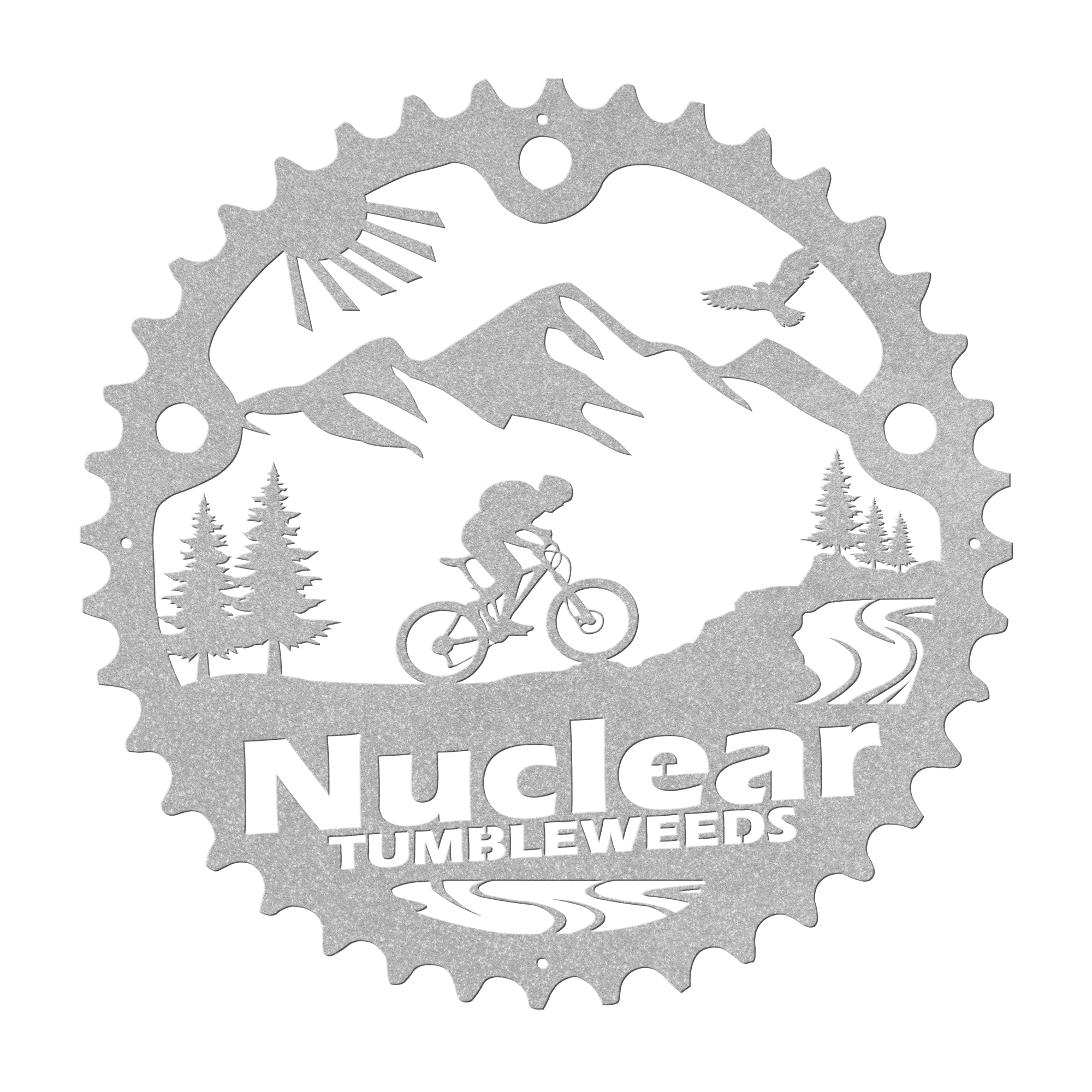 Custom Mountain Biker Chainring Metal Bike Decor, Personalized Mountain Biker Gift, Metal Bike Wall Art, Home Decor Silver