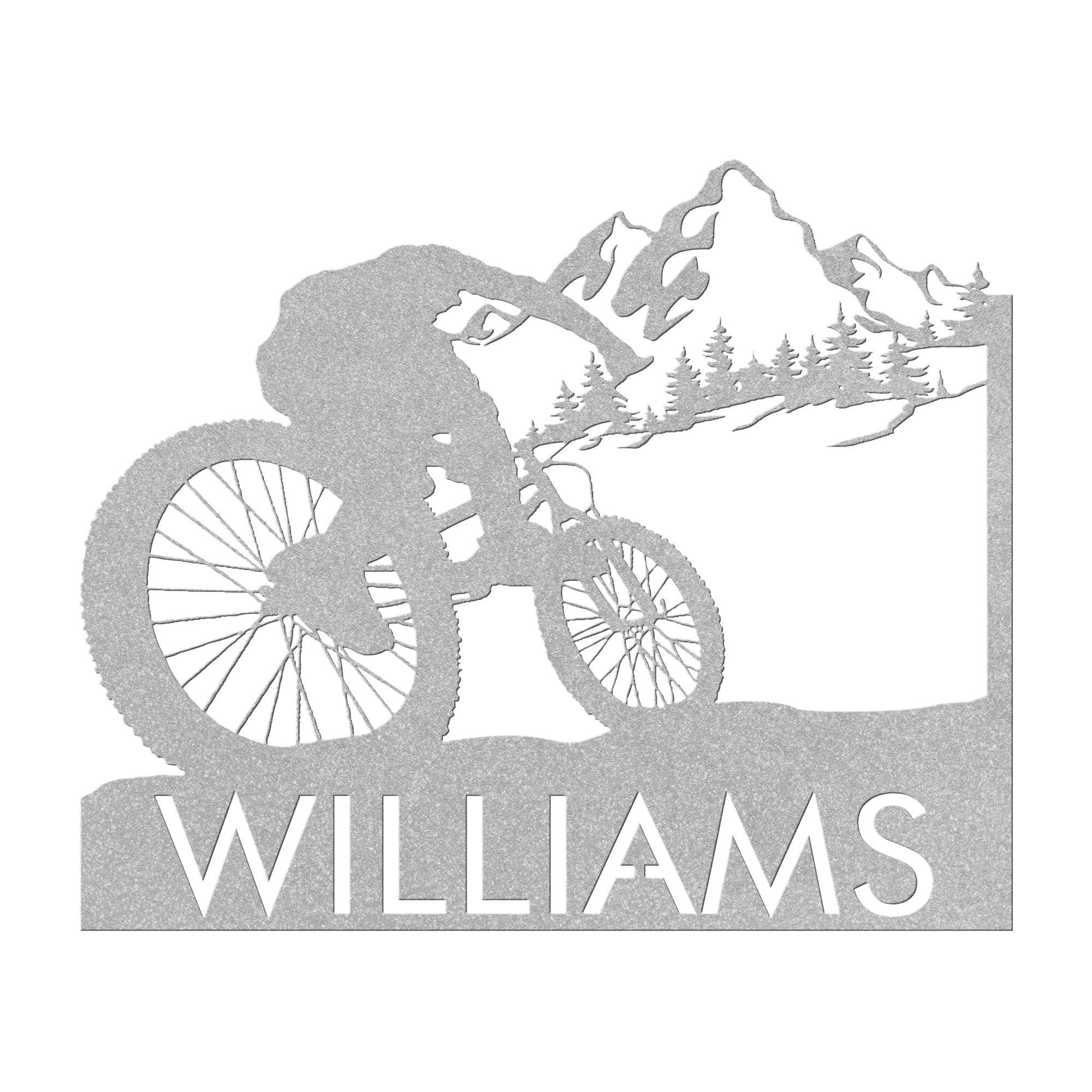 Personalized Mountain Bike Metal Wall Decor, Custom Mountain Biker Gift, Mnt Bike Metal Sign Silver